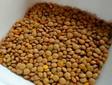 Έξι τροφές ιδανικές για απώλεια βάρους και βελτίωση της όρασης